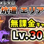 ジャンフォレ火山 – 灼熱坑道 エリア1　無課金キャラのみ・レベル30以下で簡単攻略【にゃんこ大戦争】