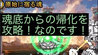 【生声動画】1から始めたにゃんこ大戦争Part68 #魂低からの帰化　無課金限定でドグ丸ステージ攻略！