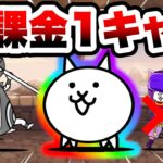 にゃんこ塔40階　ついに無課金1種で攻略できてしまいました(コンボ別)　にゃんこ大戦争