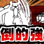 【にゃんこ大戦争】挑戦！にゃんこ道検定！序盤のこいつら普通に強くて草【本垢実況Re#2008】