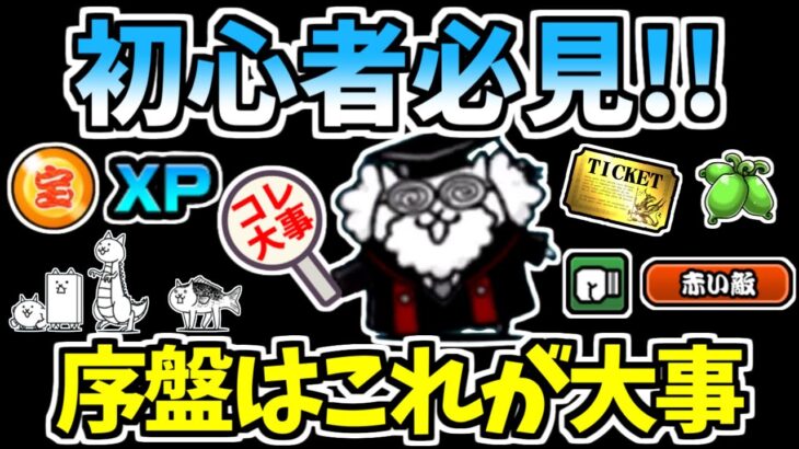 【にゃんこ大戦争】初心者必見！にゃんこ大戦争で序盤に大事なことはコレ！楽しくプレイするために大切なこととは？【The Battle Cats】