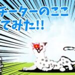 ねこチーターのここ外してみた！！