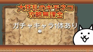 にゃんこ大戦争　大狂乱のキモネコ無課金攻略しかたです！チャンネル登録お願いします！