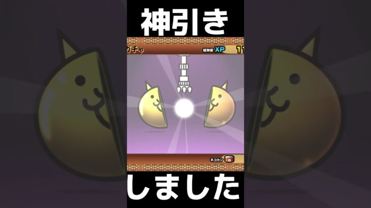 プラチナチケットで神引き#にゃんこ #にゃんこ大戦争 #ゲーム