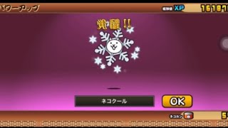 にゃんこ大戦争初心者がネコ太陽を進化させた動画