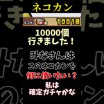 ネコカン10000個行きました！【にゃんこ大戦争】