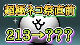 【にゃんこ大戦争】2025年超極ネコ祭直前！！にゃんチケ500枚で何枚のレアチケが入手できるの？？？