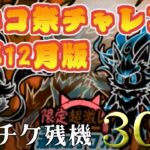 【にゃんこ大戦争】現在六か月連続敗北中！今年の最後くらい勝ちたい　24年12月超ネコ祭チャレンジ　レアチケ最大30枚