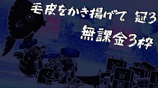 毛皮をかき揚げて 冠3 無課金3枠【にゃんこ大戦争】