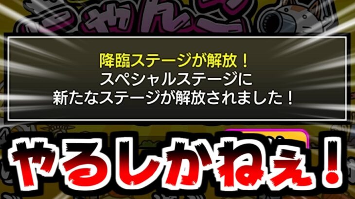 新しい降臨ステージが来てたから早速やってみるわ！【ふたりで！にゃんこ大戦争】#45