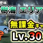 【飛脚なし】ガープラ密林 – 多湿樹海 エリア5　無課金キャラのみ・レベル30以下で攻略【にゃんこ大戦争】