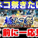 極ネコ祭ガチャ来たけど、注意事項あるから引く前に一応見て欲しい　#にゃんこ大戦争