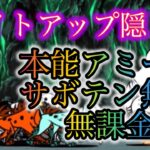 【本能アミーゴ、サボテン難民必見】ライトアップ隠し扉　無課金攻略　【にゃんこ大戦争】