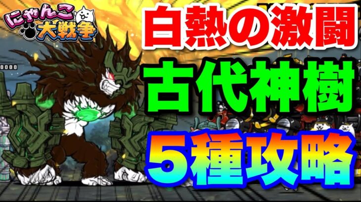 白熱の大激闘！古代神樹５種攻略に挑戦「勝って闇キャッツアイ３個絶対取るぞ！」#にゃんこ大戦争