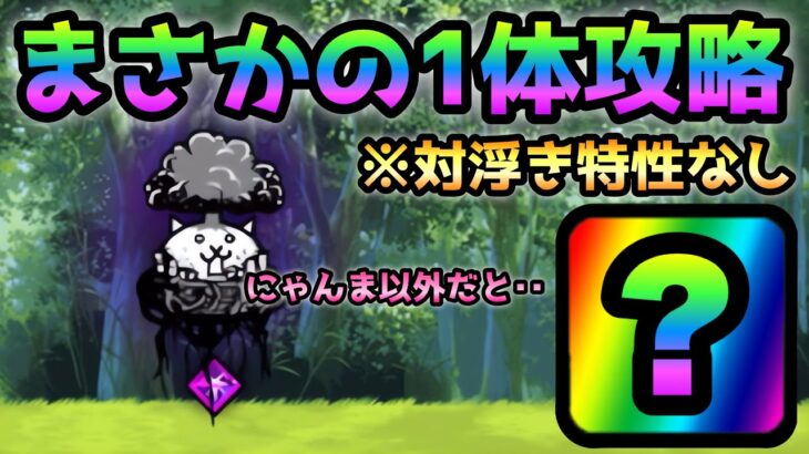 大狂乱のトリ  まさかの対浮き特性なし＆にゃんま以外で１体で攻略　にゃんこ大戦争