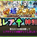 【にゃんこ大戦争】超極ネコ祭100連＋α　今年はいい一年になりそうです