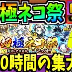 にゃんこ大戦争を2000時間プレイして集めたレアチケを全部使い超極ネコ祭で限定キャラを勝ち取る!!!-にゃんこ大戦争【超極ネコ祭】【救済の天女ルナーシャ】