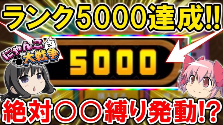 【にゃんこ大戦争】ユーザーランク5000達成‼ここからずっと○○します‼【ネコカン大量・無限課金編】