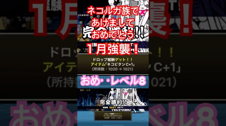 #にゃんこ大戦争 ネコルガ族で攻略　１月強襲！　おめ‥レベル8 伝説レア使用です😁