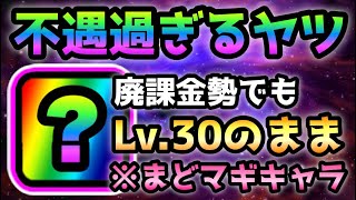 廃課金勢でもLv.30で放置w   ガチで不遇過ぎるまどマギの超激レアがコレです　にゃんこ大戦争