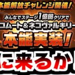 【にゃんこ大戦争】明けましておめでとう！ネコムートとヴァルキリーに本能が来るかもしれない件について！【本垢実況Re#2054】