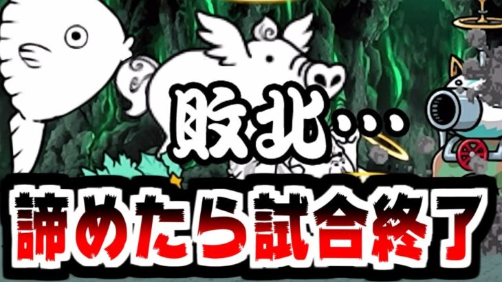 【にゃんこ大戦争】今年初の零レジェ！二等辺三角渓 攻略！諦めなければきっといけるさ！共通テストもね！【本垢実況Re#2065】