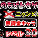 【にゃんこ大戦争】簡単編成でニャンピュ放置！開眼のちびネコトカゲ襲来！（ちびネコトカゲ進化への道）を本能なし低レベル無課金キャラで攻略！スライムなし【The Battle Cats】