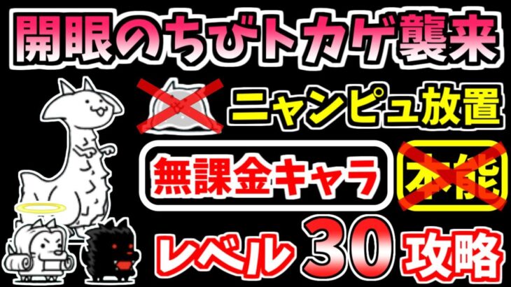 【にゃんこ大戦争】簡単編成でニャンピュ放置！開眼のちびネコトカゲ襲来！（ちびネコトカゲ進化への道）を本能なし低レベル無課金キャラで攻略！スライムなし【The Battle Cats】