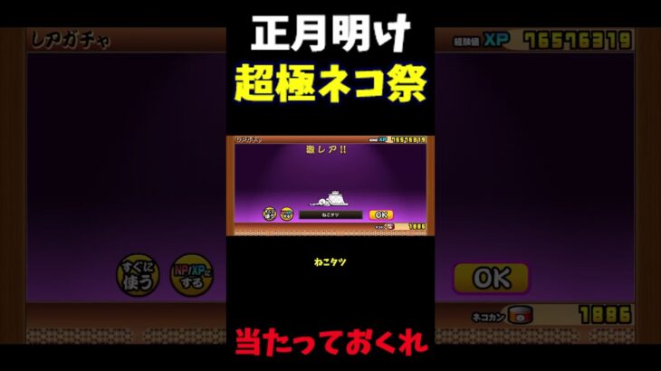 【１から始める無課金にゃんこ大戦争】２１７０日目超極ネコ祭正月明けでもまだ続く＃にゃんこ大戦争＃ルーナ