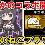 【にゃんこ大戦争】まどマギコラボがやってくる！開眼のねこフラワーもようやくクリア⁉【ゆっくり実況】