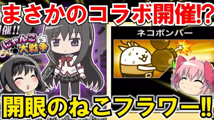 【にゃんこ大戦争】まどマギコラボがやってくる！開眼のねこフラワーもようやくクリア⁉【ゆっくり実況】