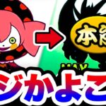 【衝撃】コイツまさかの本能ムート取得のカギになるんじゃね！？　ベベ / なぎさ&ネコ　性能紹介　にゃんこ大戦争