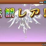 【にゃんこ大戦争】７年越しの神引き？！　レジェンドチケットは神です