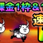 狂乱のウシ  遂に無課金1枠＆1体で攻略可能に！　にゃんこ大戦争