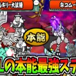 にゃんこ大戦争が1億DL突破!!覚醒のネコムートがチートキャラになる神本能ステージを攻略する!!-にゃんこ大戦争【ネコムート大試練・ヴァルキリーの大試練】