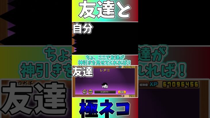 【プラチケ】友達とプラチケ同時引きした結果…【にゃんこ初心者エンジョイ勢の攻略記#63】