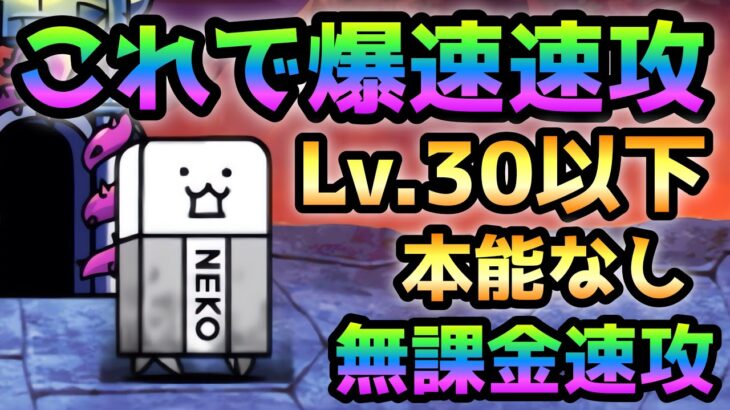 開眼のちびタンク  Lv.30以下＆本能なし＆無課金速攻　にゃんこ大戦争