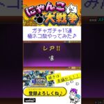 《にゃんこ大戦争-The battle cats》￥無課金勢￥【回してみた】極ネコ祭 11連ガチャ 250216  [貓咪大戰爭-냥코 대전쟁] 　＠りつとまチャンネル#にゃんこ大戦争