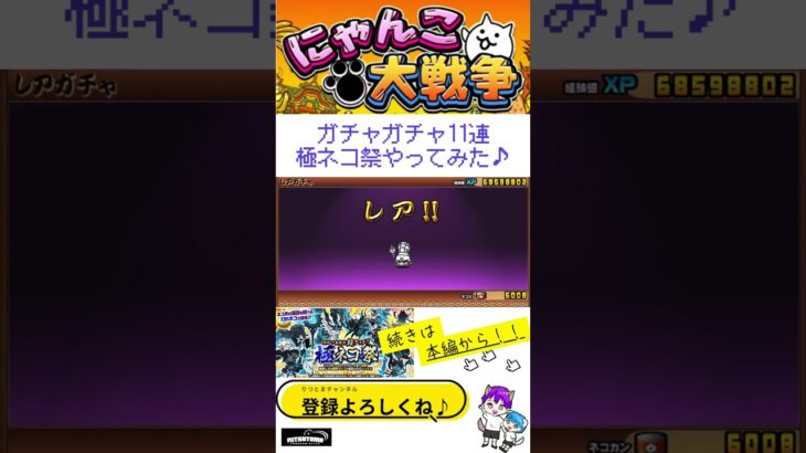 《にゃんこ大戦争-The battle cats》￥無課金勢￥【回してみた】極ネコ祭 11連ガチャ 250216  [貓咪大戰爭-냥코 대전쟁] 　＠りつとまチャンネル#にゃんこ大戦争