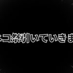 超ネコ祭がきたのでレアチケットと猫缶全ツッパします。