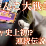 【にゃんこ大戦争】ガチャ史上初!?連続伝説レア!!