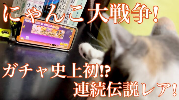 【にゃんこ大戦争】ガチャ史上初!?連続伝説レア!!