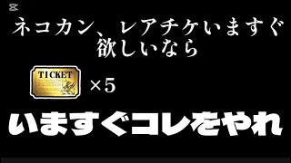 すぐネコカン、レアチケが欲しいならいますぐコレをやれ  【にゃんこ大戦争】