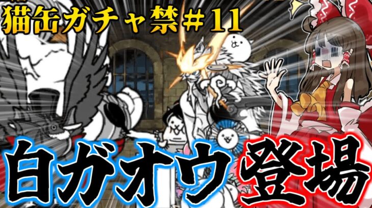 “白ガオウ”だけで黄金にゃんこ塔何階までいける？『猫缶ガチャ禁』#11　【にゃんこ大戦争/ゆっくり実況】