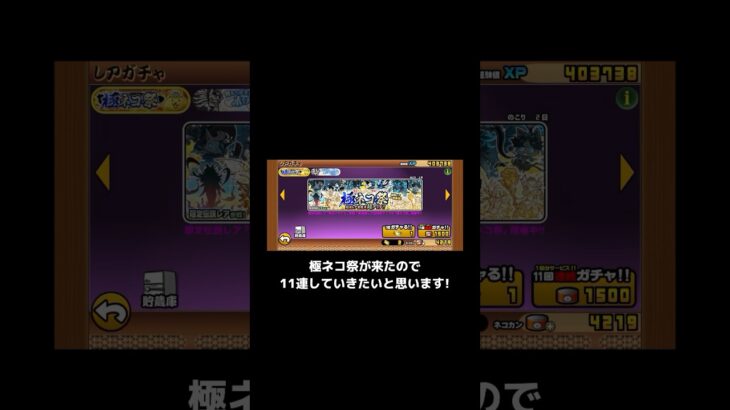 【にゃんこ大戦争】極ネコ祭がきた#shorts #にゃんこ大戦争 #極ネコ祭