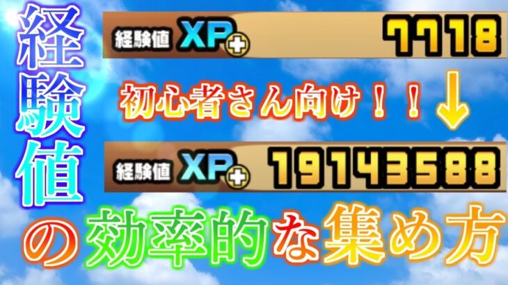 【にゃんこ大戦争】初心者さん向けの効率のいい経験値の集め方！？初心者さんが優先して育てるべきキャラも！！【ゆっくり解説】