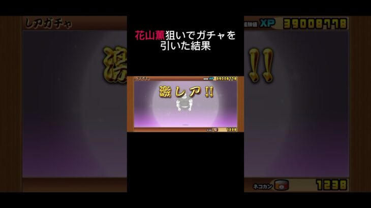 花山薫が欲しかった…【にゃんこ大戦争】【ガチャ編】#shorts