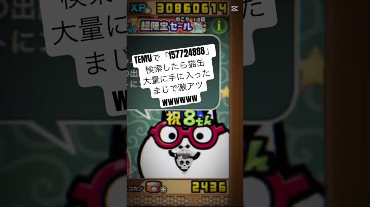 にゃんこ大戦争の猫缶配布がまじで熱い#temu #youtube #youtubeshorts #ytshorts #にゃんこ #にゃんこ大戦争 #にゃんこ大戦争初心者 #ねこ #無料 #猫缶