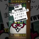 にゃんこ大戦争の無料配布がまじで熱い #temu #youtube #youtubeshorts #ytshorts #にゃんこ #にゃんこ大戦争 #にゃんこ大戦争初心者 #ねこ #無料 #猫缶