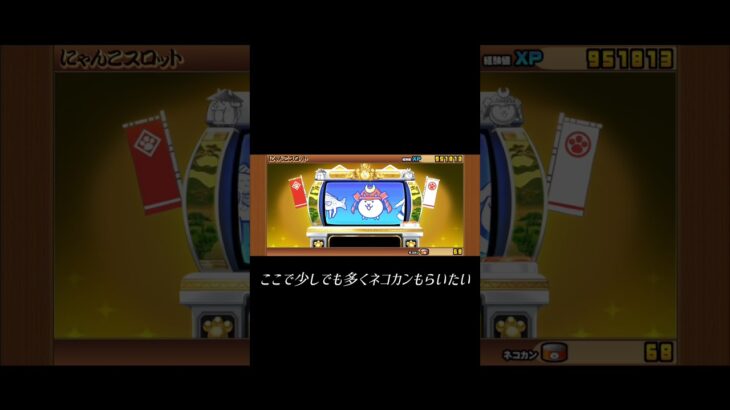 にゃんこ大戦争スロット回すぞー #にゃんこ大戦争 #ゲーム #スロット #猫缶　